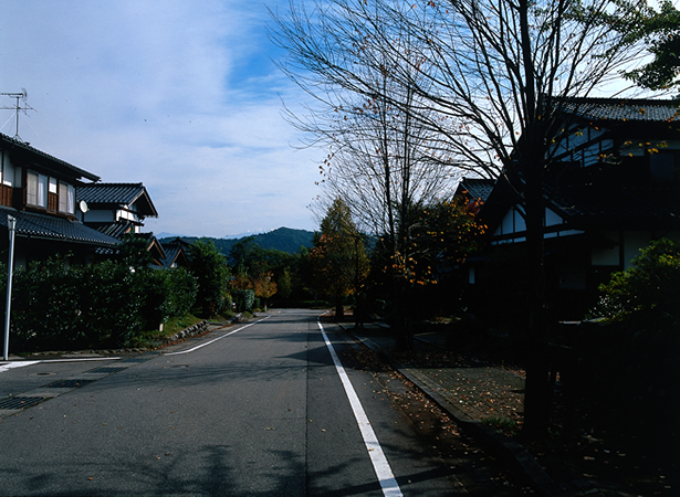 情緒溢れる伝統的意匠